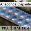 Anaconda Capsule viagra3